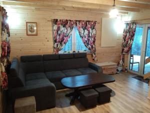 a living room with a couch and a table at Domek na wzgórzu ''NIEDŹWIEDŹ'' in Świątkowa Mała
