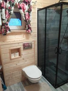 a small bathroom with a toilet and a shower at Domek na wzgórzu ''NIEDŹWIEDŹ'' in Świątkowa Mała