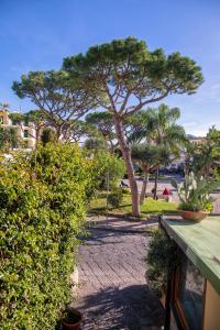 Una pasarela con arbustos y un árbol en un parque en Lily's Home en Ischia