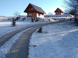 Domek na wzgórzu "RYŚ" žiemą