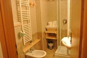 La petite salle de bains est pourvue d'un lavabo et d'une douche. dans l'établissement Hotel de Gletscher, à Gressoney-La-Trinité