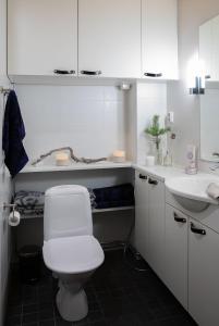 a white bathroom with a toilet and a sink at Ylläs with a view in Ylläsjärvi +21 photos