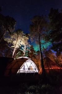 a lit up tent in the woods at night at GLØD Aurora Canvas Dome in Alta