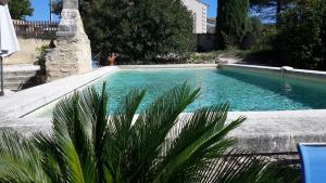 uma piscina com uma palmeira em frente em Chambres d'hôtes Le Vignoble em Cucuron