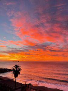 a sunset on the beach with a palm tree at CasAmare di Carla in Savona +8 photos