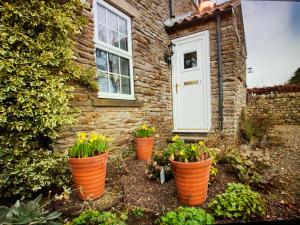 three orange pots of flowers in front of a building at Secret View Cottage in Terrington, York in York
