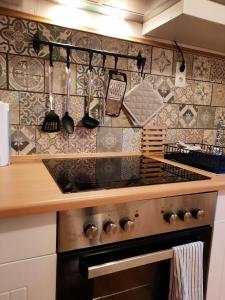 a kitchen with a stove and a counter top at Ferienwohnung "Wiesensee" im historischen Landhaus in Pottum