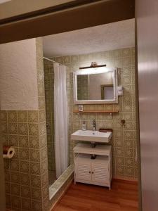 a bathroom with a sink and a mirror at Ferienwohnung "Wiesensee" im historischen Landhaus in Pottum