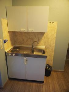 Kuchyň nebo kuchyňský kout v ubytování Apart Hotel Sarstedter Hof