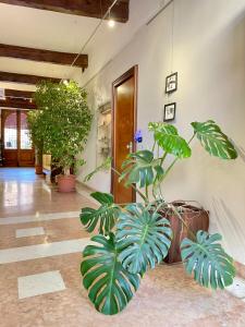 Fotografie z fotogalerie ubytování Alkimia Smart Rooms v destinaci Ferrara