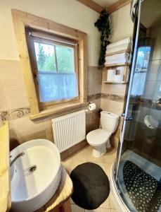 a bathroom with a sink and a toilet and a shower at Domek Góralski- Highlander Chalet Kościelisko-Zakopane in Kościelisko