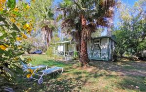 een palmboom en een klein huisje in een tuin bij PRATICCIONI in Linguizzetta +11 foto's