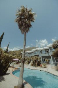 a palm tree in front of a building with a swimming pool at Nonna's Boutique Hotel in Dhërmi