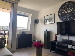 Телевизор и/или развлекательный центр в Studio superbe vue mer, Port-Deauville, proche Plage, centre-ville et casino