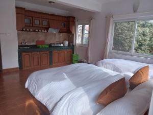 Kuchyň nebo kuchyňský kout v ubytování Eco Inn Guest House