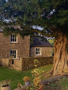 una casa de piedra con un gran árbol delante de ella en Cross Haw Cottage, en Sedbergh