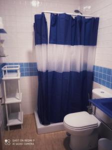 a bathroom with a blue shower curtain and a toilet at Cómodo adosado en San Bartolomé in San Bartolomé de la Torre