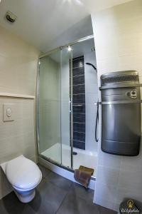 y baño con ducha de cristal y aseo. en Logis Hôtel du Parc en Perros-Guirec