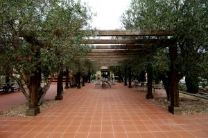 A garden outside Mas Renart