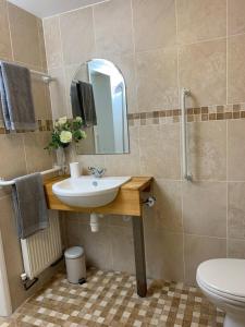 a bathroom with a sink and a toilet and a mirror at New Forest Chalet in Ibsley