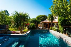 a swimming pool in a yard with palm trees at Le Jardin aux Sources in Brissac