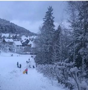 Ferienwohnung am Tor zum Thüringer Wald kapag winter
