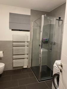 ein Bad mit einer Dusche und einem WC in der Unterkunft Ferienwohnung am Tor zum Thüringer Wald in Plaue