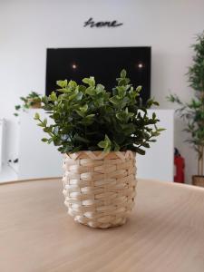 een plant in een rieten vaas zittend op een tafel bij Beach Life Apartment, NEW, ELEGANT and COZY in Nazaré