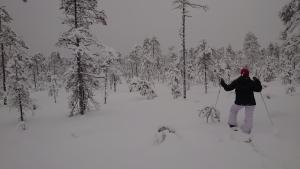 a person is cross country skiing through a snow covered forest at B&B Aittoranta in Puolanka +12 photos