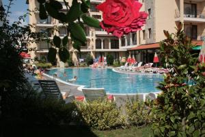 une grande piscine avec des chaises et une rose rouge dans l'établissement Apartment Tourist Complex Rose Village, à Sunny Beach 148 autres photos