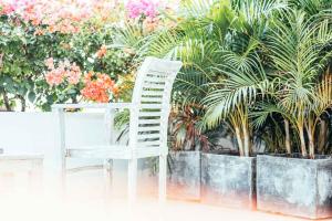 Ein Garten an der Unterkunft Rapture Surfcamps Green Bowl