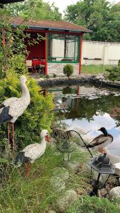 trois oiseaux debout autour d'un étang devant une maison dans l'établissement Hotel Braník, à Prague