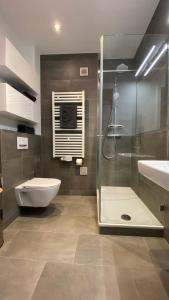 y baño con ducha, aseo y lavamanos. en Sanierte Wohnung mit Balkon im Hochparterre, en Hannover