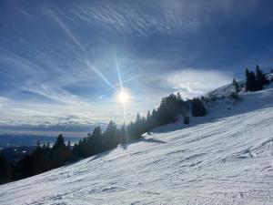 Almhütten Skorianz during the winter
