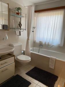 a bathroom with a toilet and a tub and a sink at Casa Sheila in Quartino