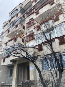 un edificio con un árbol delante de él en Lovely apartment in a quiet area en Cluj-Napoca