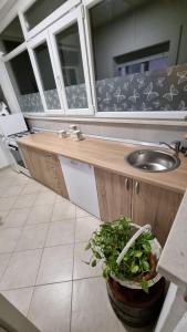 uma casa de banho com um lavatório e um vaso de plantas em Room Airport Split em Kaštela