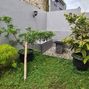 einen Garten mit drei Topfbäumen und einer Bank in der Unterkunft Bandar Lampung Villa in Kedaton