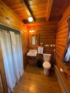 a bathroom with a toilet and a sink in a log cabin at Unity Sky Lodge in Jackman