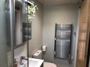 a bathroom with a toilet and a sink and a mirror at Little Haven in Seahouses