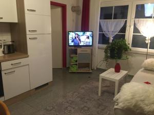 Küche/Küchenzeile in der Unterkunft Ferienwohnung Rosi Stoppa