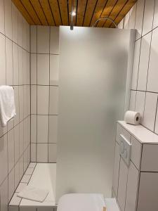 La salle de bains blanche est pourvue d'une douche et de toilettes. dans l'établissement Steimke's Landhotel, à Graue