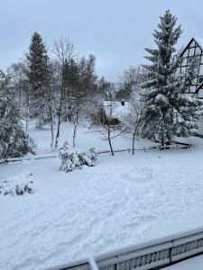 Aventur Studio 212 Am Rotharrsteig im Winter