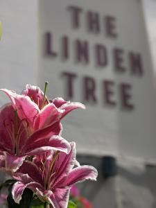 a pink flower in a vase in front of a sign at Linden Tree in Gloucester