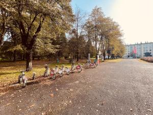 Fotografia z galérie ubytovania Apartamenty KTW Park Śląski v Katoviciach