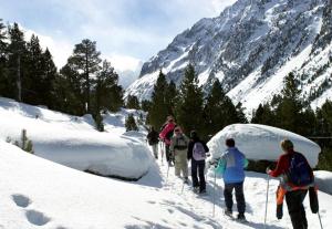 Chalets du Lac im Winter