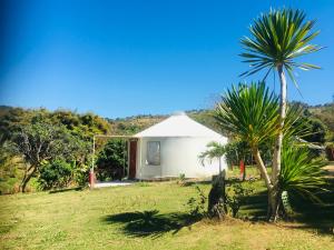 una casa bianca con una palma in un campo di The Natural Yurt Resort @ Khao Kho a Khao Kho
