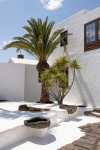 a courtyard with palm trees and a white building at Las Pérgolas Villa Rural in Tías