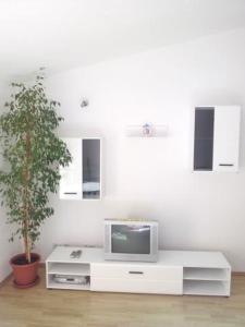 uma sala de estar com uma televisão numa mesa com uma planta em Apartment in Duce with sea view, balcony, air conditioning, WiFi 5060-2 em Duće