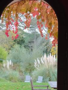 a window with a view of a garden with two chairs at Les Amis de Gaure in Rouffiac-dʼAude